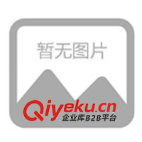 供應(yīng)圓領(lǐng)T恤衫 印花T恤 反領(lǐng)T恤 時(shí)裝T恤 衛(wèi)衣